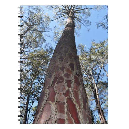 La Gerche Ponderosa Pine Carnet Spiral (Devant)