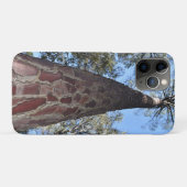La Gerche Ponderosa Pine iPhone/iPad Cover (Achterkant (horizontaal))
