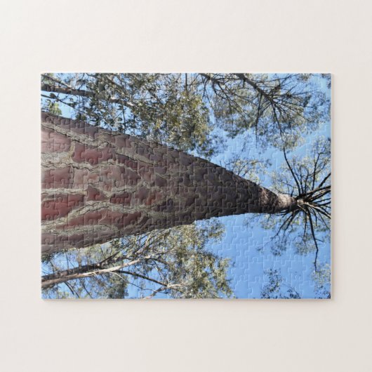 La Gerche Ponderosa Pine Jigsaw Puzzle (Horizontal)