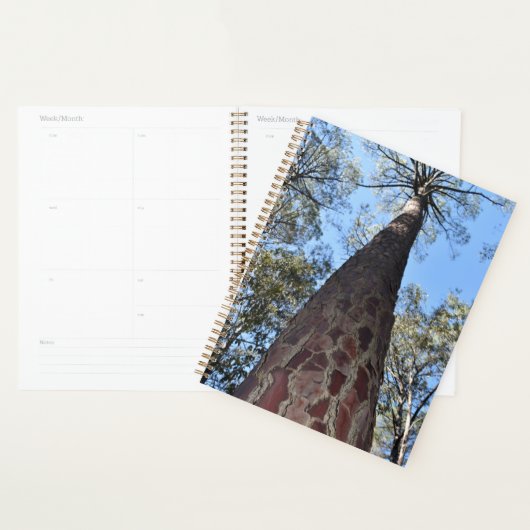 La Gerche Ponderosa Pine Planner (Devant avec enveloppe)
