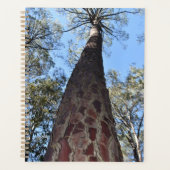La Gerche Ponderosa Pine Planner (Devant)