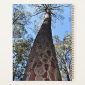 La Gerche Ponderosa Pine Planner (Dos)
