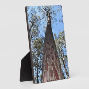 La Gerche Ponderosa Pine Plaque Photo
