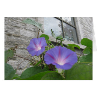 La gloire du matin de Saint Paul avec fenêtre