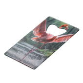 La grâce en vol : Le Flamant rose rose (Dos Angle)