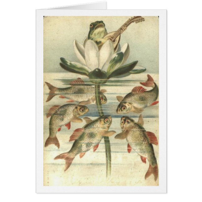 La grenouille de chant (Devant)