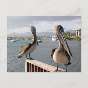 La Guancha en Ponce Briefkaart