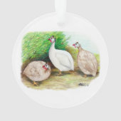 La Guinée est tombée à l'extérieur (dos)