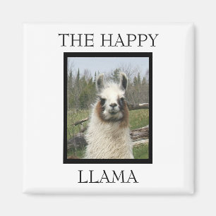 LA JOLIE MAGNET DE LAMA