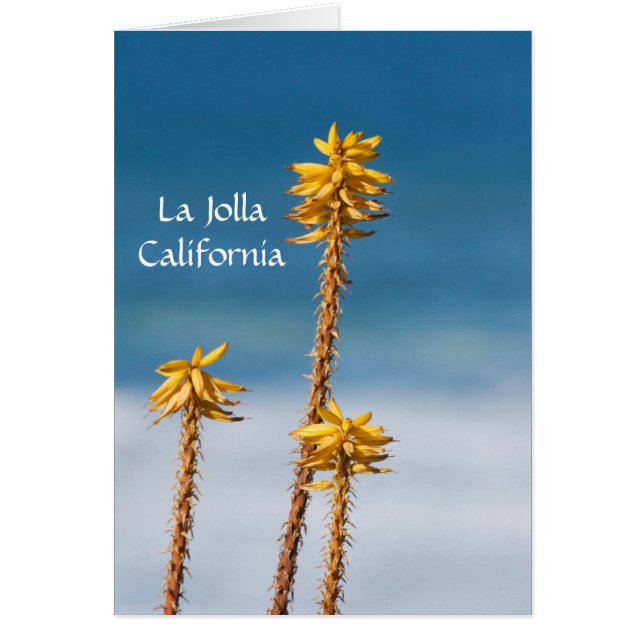 La Jolla Agave et Océan (Devant)