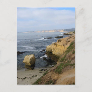 La Jolla Beach Seabirds Custom California Briefkaa Briefkaart