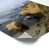 La Jolla Beach Seabirds Custom Poster Art Imprimer (Coin)