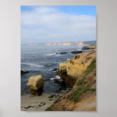 La Jolla Beach Seabirds Custom Poster Art Print (Voorkant)
