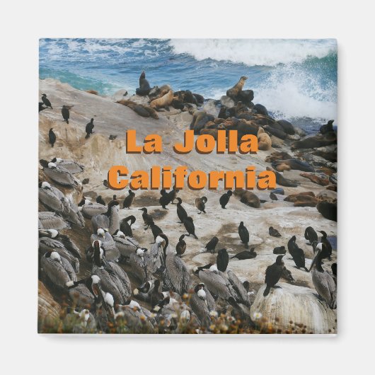 La Jolla California Souvenir Magnet Magneet (Voorkant)