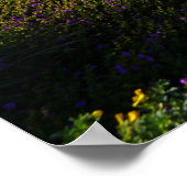 La Jolla, Californië Poster (Hoek)