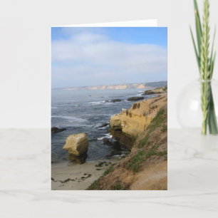La Jolla Cove Beach Seabirds Carte de voeux person
