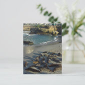 La Jolla Cove Beach Waves Sand Seals Briefkaart (Staand voorkant)