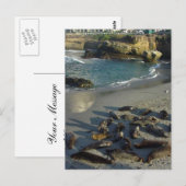 La Jolla Cove Beach Waves Sand Seals Briefkaart (Voorkant / Achterkant)