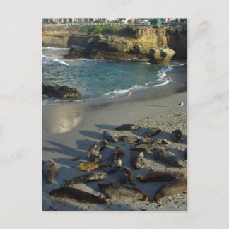 La Jolla Cove Beach Waves Sand Seals Briefkaart