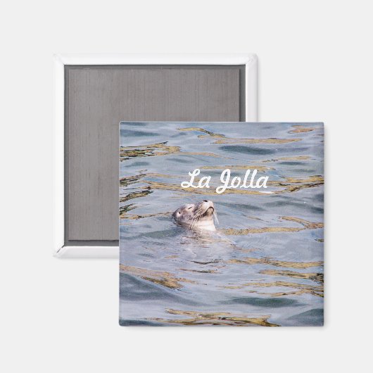 La Jolla Seal Magneet (Voorkant / Achterkant)