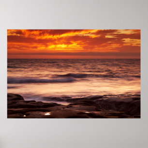 La Jolla Tide Pools Poster
