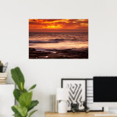La Jolla Tide Pools Poster (Thuiskantoor)