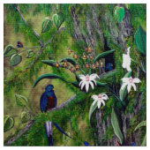 La jungle du tissu du Guatemala (Fermer)
