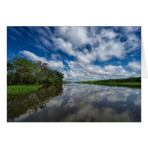 La jungle péruvienne reflète