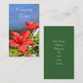La ketmie rouge fleurit des cartes de visite (Devant / Derrière)