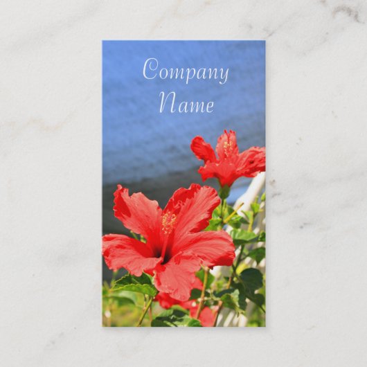 La ketmie rouge fleurit des cartes de visite (Devant)