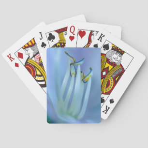 La La Land Pokerkaarten