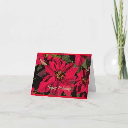 La légende de la carte de Noël Poinsettia (Devant)