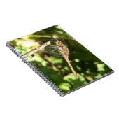 La libellule sur un Carnet de brindilles (Côté Droit)