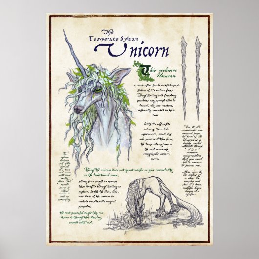 La licorne - Poster de la page mythologique du bes (Devant)