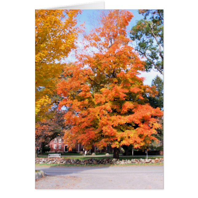 LA LUEUR DE L'AUTOMNE (Devant)