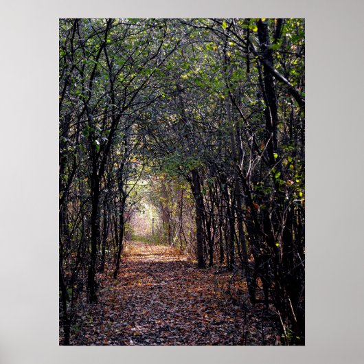 La lumière à la fin du chemin Poster (Devant)