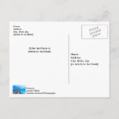 La Lumière À Navarre Beach Pier Carte Postale (Dos)