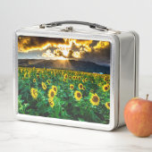 La Lunchbox de tournesol (En situation)