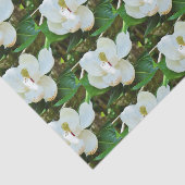 La magnolia fleurit papier de soie de soie (Détail)