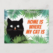 La maison est où le chat cache la carte de faire-p (Devant)