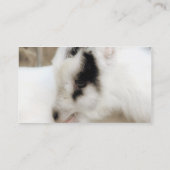 La Mancha Manor Visitekaartje (Achterkant)