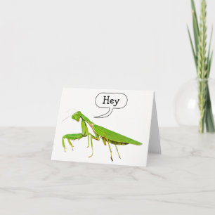 La mante de prière indique hé le carte pour notes