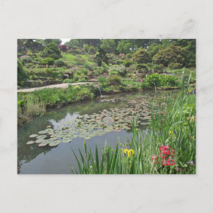 La mare aux nénuphars de RHS Wisley Carte postale