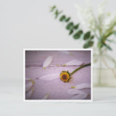 "La Margaret a dit : OUI !" carte postale (Debout devant)