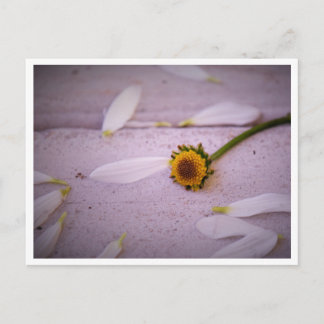 "La Margaret a dit : OUI !" carte postale