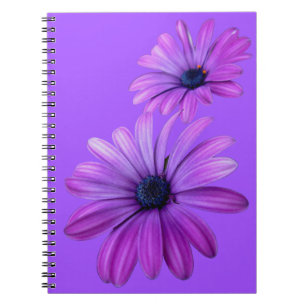 La marguerite pourpre de carnet de marguerite