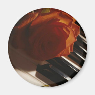 La Mélodie Du Piano Magnet
