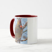 La mère Mug du Cardinal du Nord (Devant gauche)