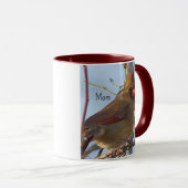 La mère Mug du Cardinal du Nord (Devant droit)