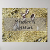 La mesure est trésor sagesse dire affiche (Devant)